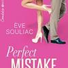 Perfect mistake vol 1