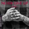 Never give up tome 1 find you